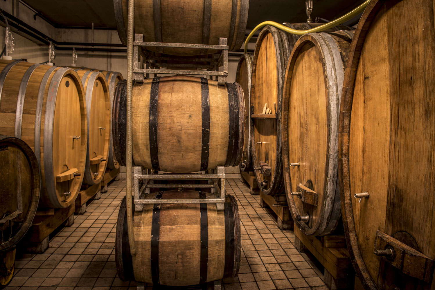 Le domaine DOMAINE BOTT-GEYL
