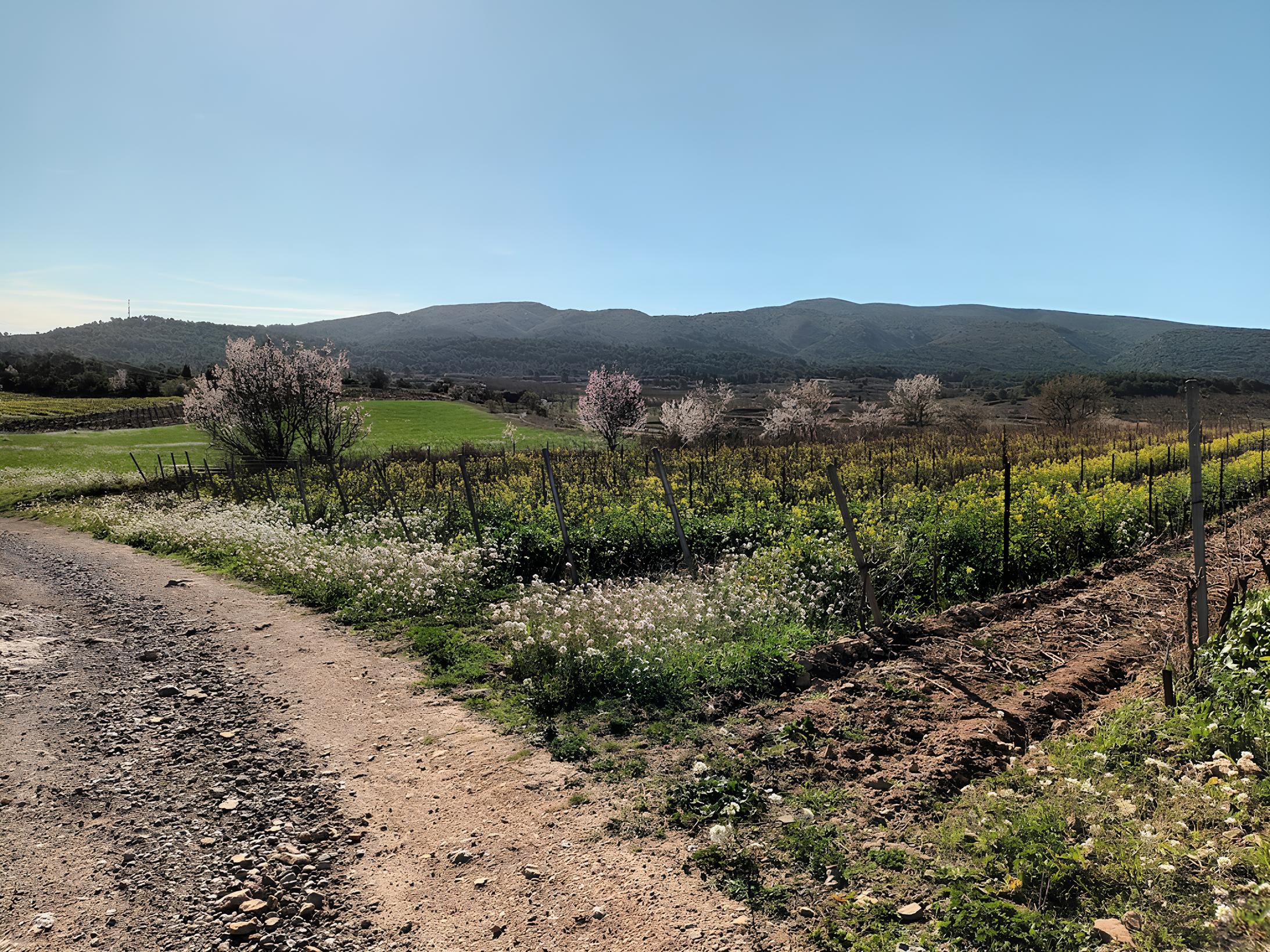 Le domaine DOMAINE L'ESCAPADE