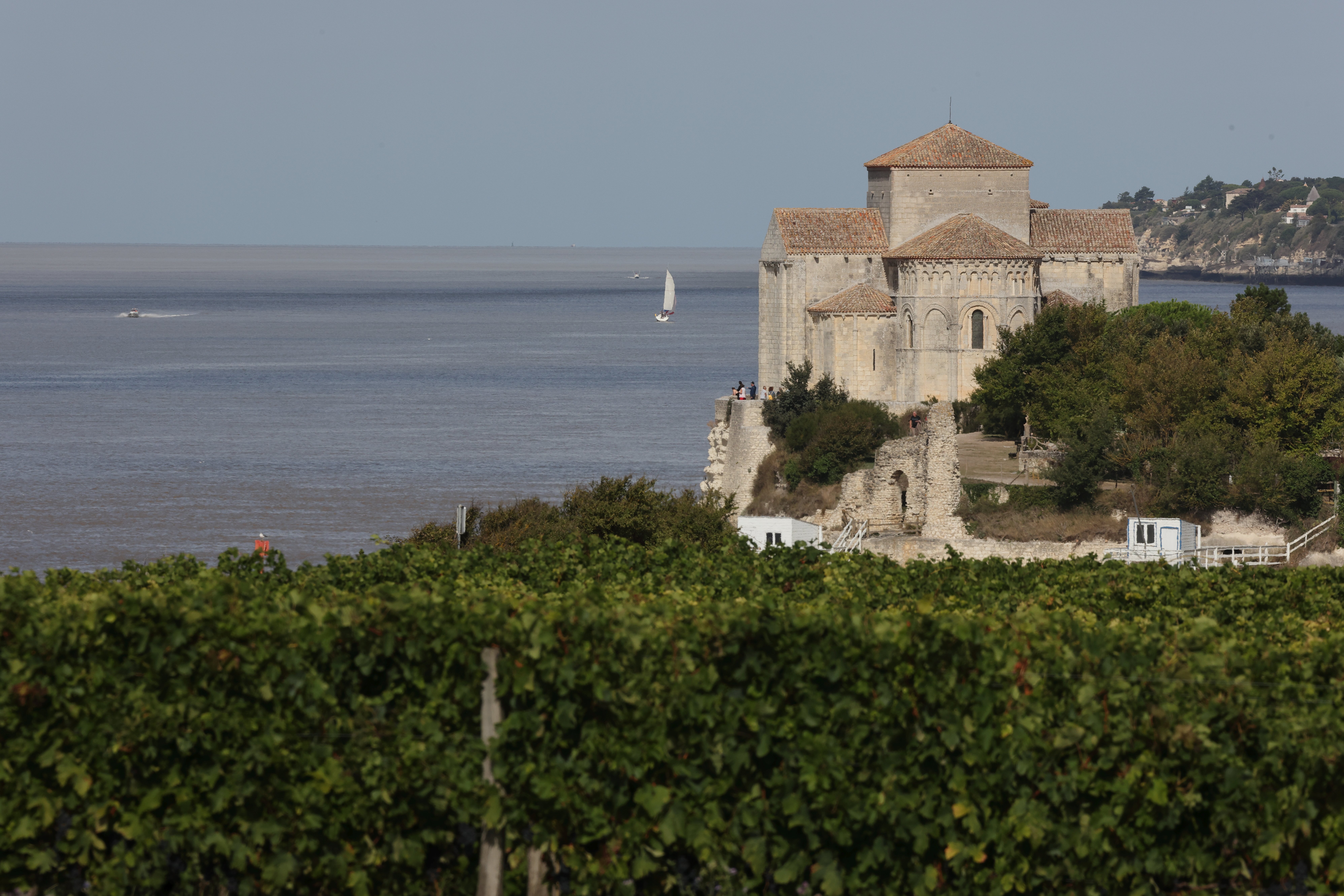 Le domaine VIGNOBLE LES HAUTS DE TALMONT